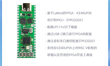 學FPGA、學MCU、學FPGA +MCU？一塊板搞定！