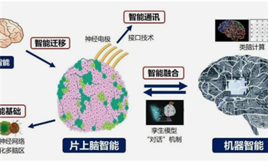 全球首創(chuàng)！中國(guó)研制出可開源的片上腦-機(jī)接口智能交互系統(tǒng)MetaBOC（薩科微7月1日芯聞）