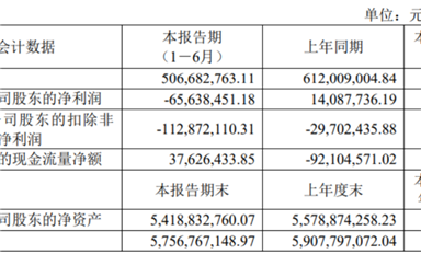 思瑞浦/南芯/帝奧微悲喜不相通，模擬電源的春天要等到2026年？