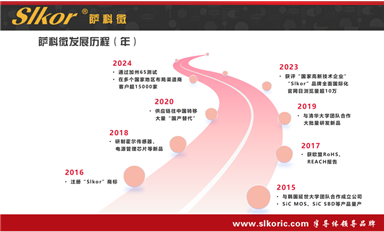 人工智能(AI)助力薩科微半導體加速國際化